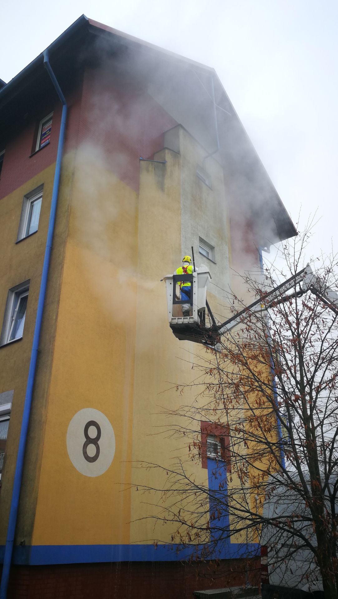 Czyszczenie z glonów